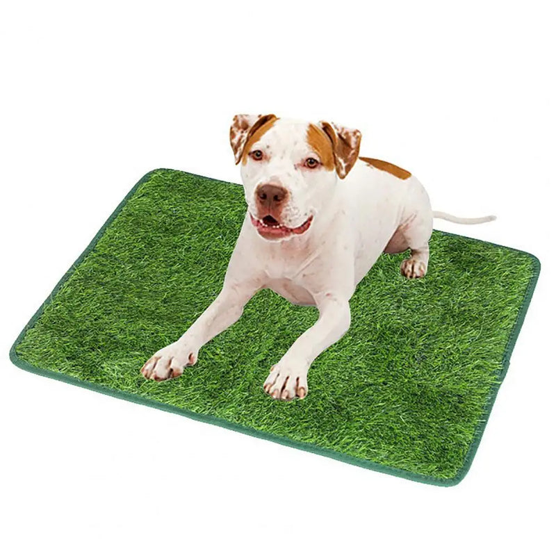fotografia do Tapete Higiênico com Grama Artificial para Pets com um cachorrinho confortavelmente senado e feliz